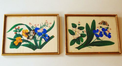Pair Antique Chinese Paintings on Pith Butterflies and Blossoms