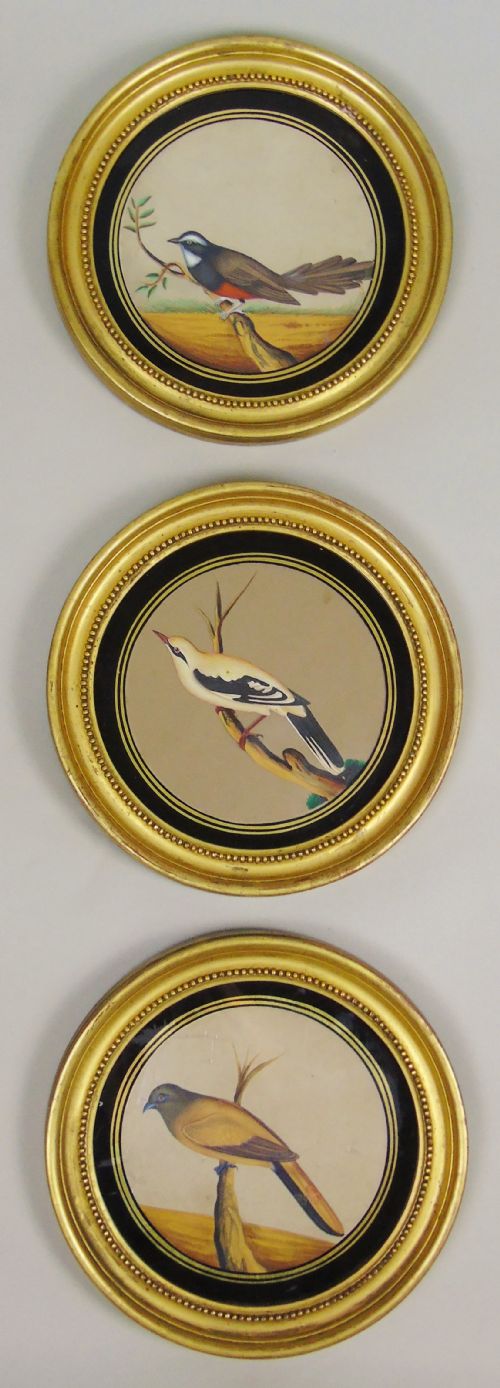 Set of 3 Beautiful Indian 19th Century Bird Paintings on Mica