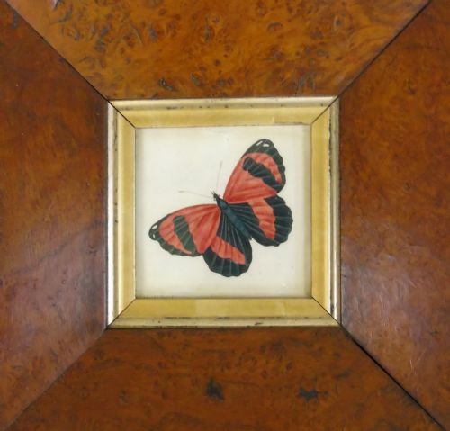 Antique Watercolour Painting Butterfly 19th Century
