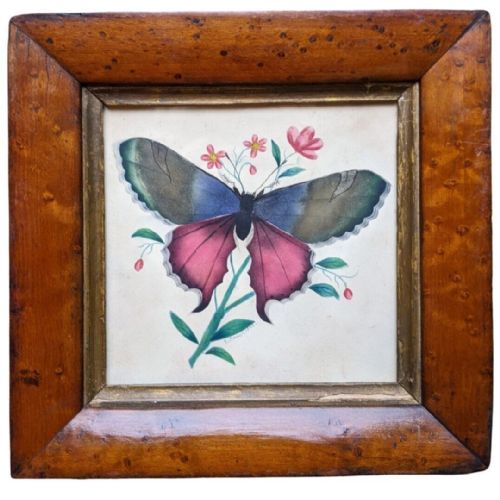 Charming Antique Watercolour Butterfly 19th Century