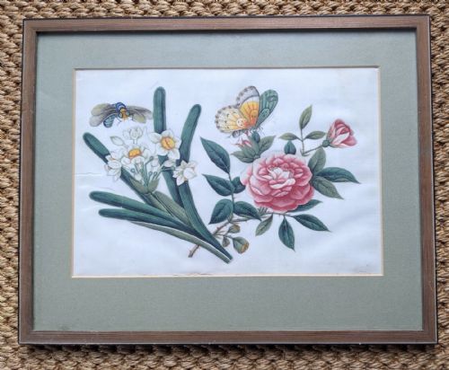 Chinese Botanical Watercolour Pith Painting Qing Dynasty