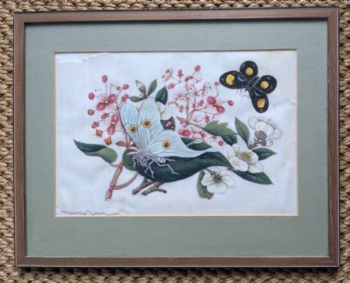 Chinese Botanical Watercolour Pith Painting Qing Dynasty