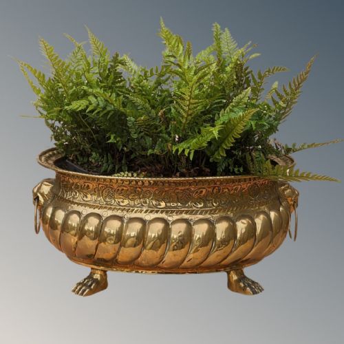 Antique Brass Cistern Jardiniere Planter