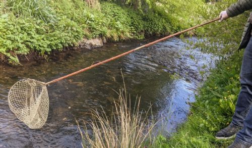 Antique Fishing Landing Net