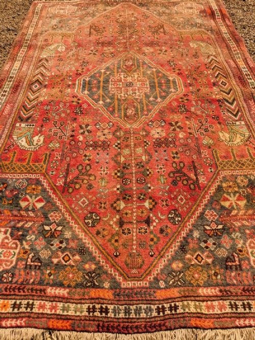 Large Room Size Antique Kashgai Carpet