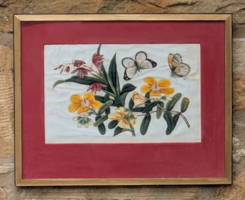 Antique Chinese Watercolour Painting Butterflies & Blossom