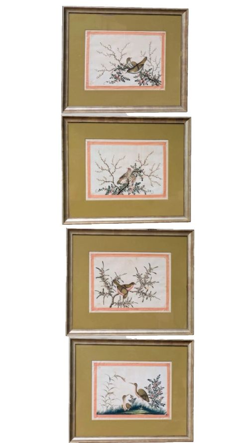 Chinese Watercolour Painting Birds Set of 4