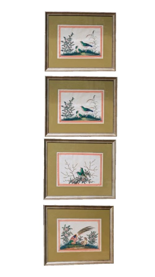 Antique Chinese Watercolour Painting Birds Set of 4