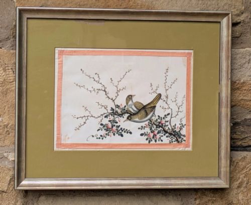 Antique Chinese Watercolour Painting Birds Among Branches