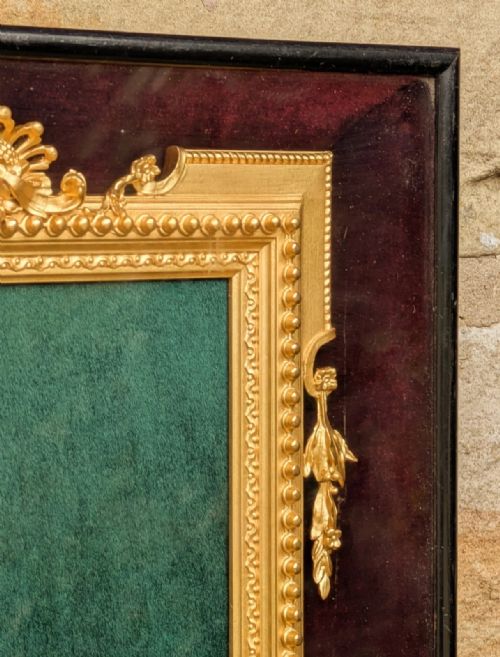 fig 1. Rare Victorian Gilt Frame Deep Glazed Box Ebony & Velvet Mount (G)