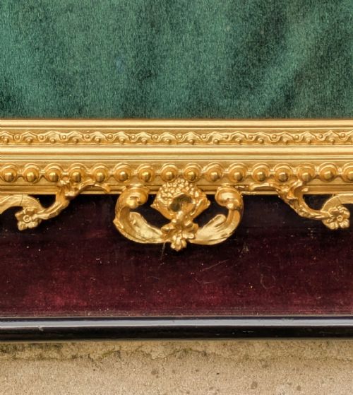 fig 2. Rare Victorian Gilt Frame Deep Glazed Box Ebony & Velvet Mount (G)
