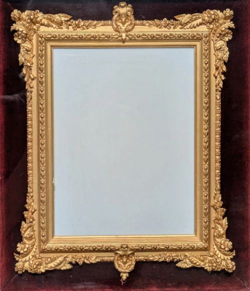 fig 1. Rare Victorian Gilt Frame Deep Glazed Box Velvet Mount (K)