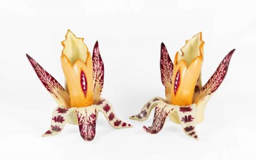 Pair English Porcelain Bud Vases Early 19th Century Derby