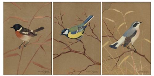 Set of 3 Watercolours Ralston Gudgeon Garden Birds