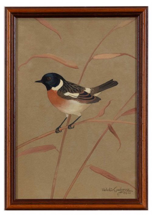 fig 2. A set of three vertical watercolour paintings on toned paper depicting detailed garden birds perched on delicate branches.