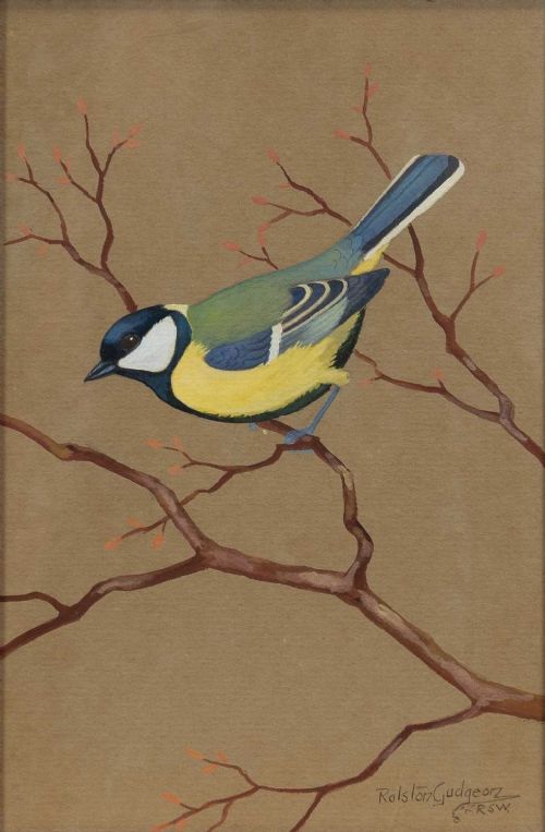 A set of three vertical watercolour paintings on toned paper depicting detailed garden birds perched on delicate branches. View V