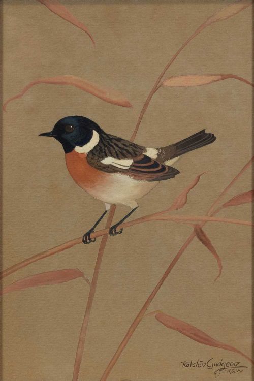 A set of three vertical watercolour paintings on toned paper depicting detailed garden birds perched on delicate branches. View VI