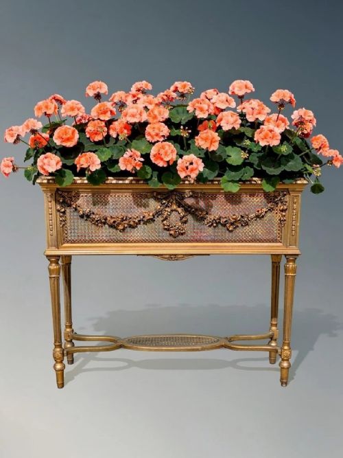 ANTIQUE GILTWOOD AND CANE PLANTER
