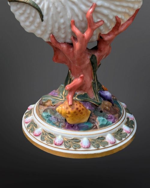 fig 1. Beautiful Royal Worcester Nautilus Shell Vase
