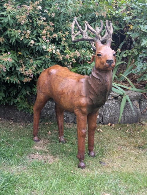 Liberty Leather Covered Deer