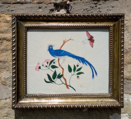 Pretty Regency Watercolour Exotic Blue Bird
