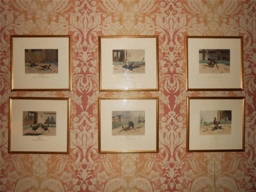 Set 6 Hand Coloured Cock-Fighting Prints, R. Ackermann