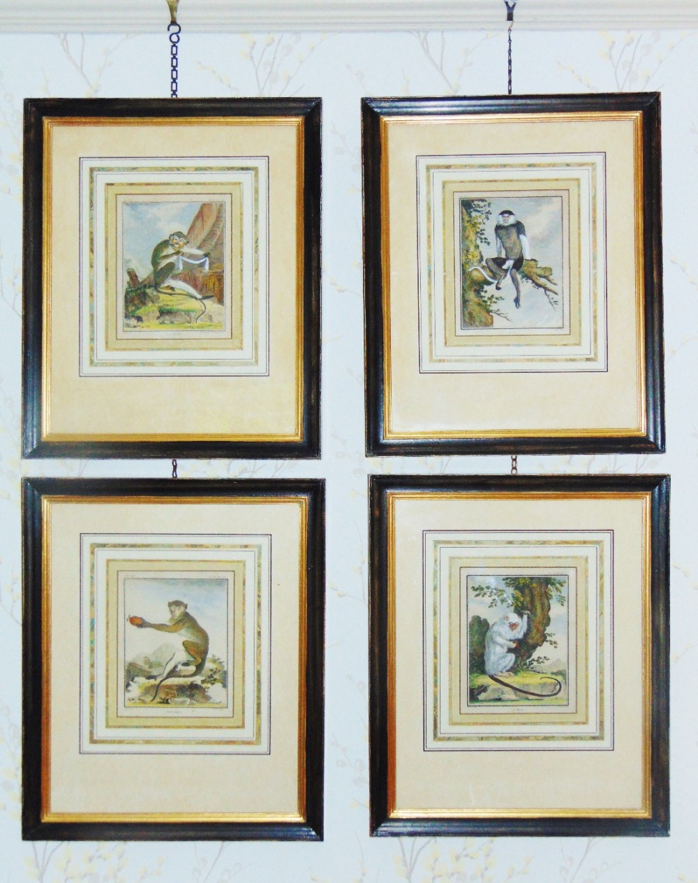 Set of 4 Hand Coloured Engravings Jacques de Seve French 18th Century