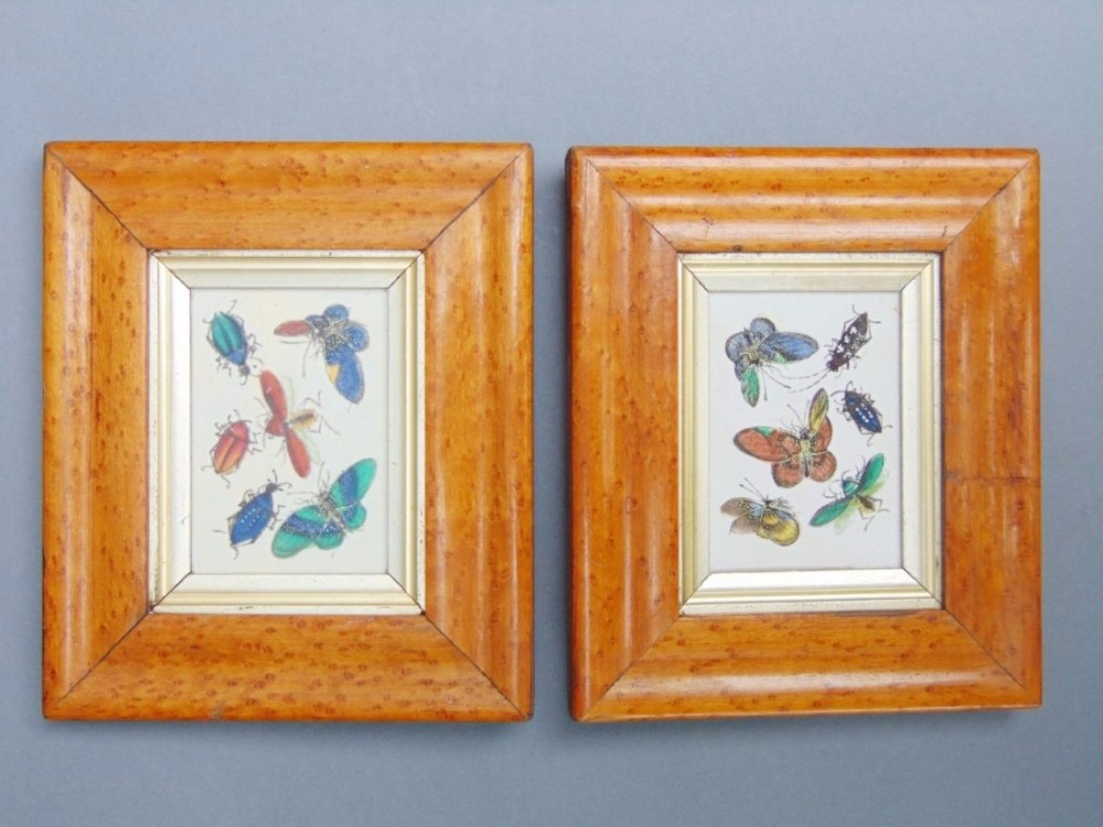 Pair of 19th Century Chinese Watercolour Paintings Butterflies and Insects
