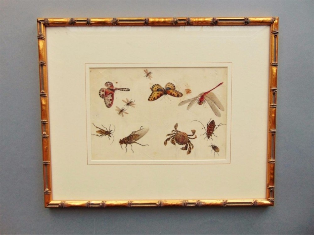 19th Century Chinese Watercolour Painting on Pith Insects