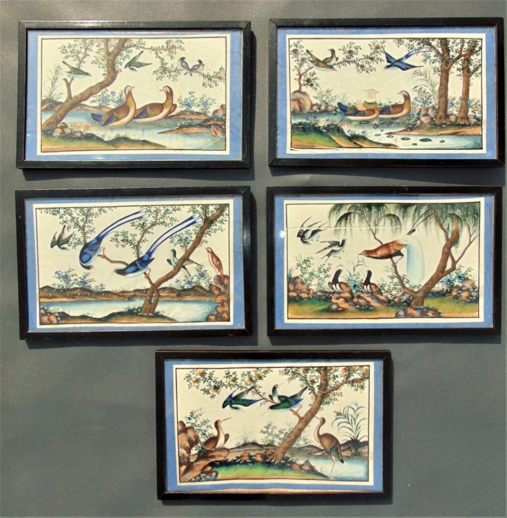 Set of 5 Chinese Watercolour Painting on Pith Exotic Birds 19th Century