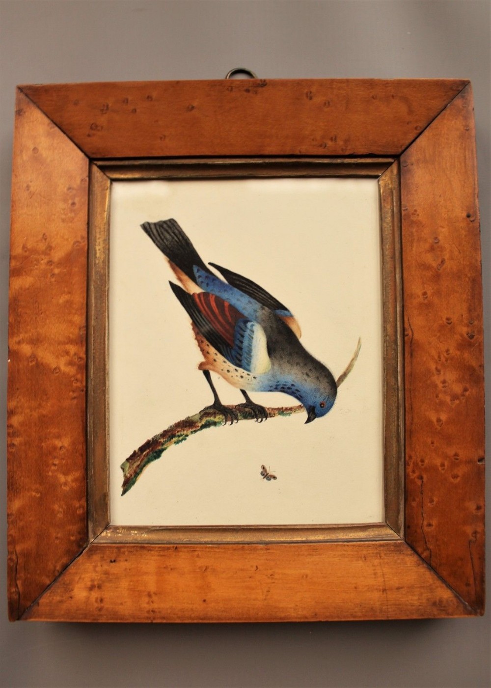 Antique Watercolour Bird & Butterfly 19th Century