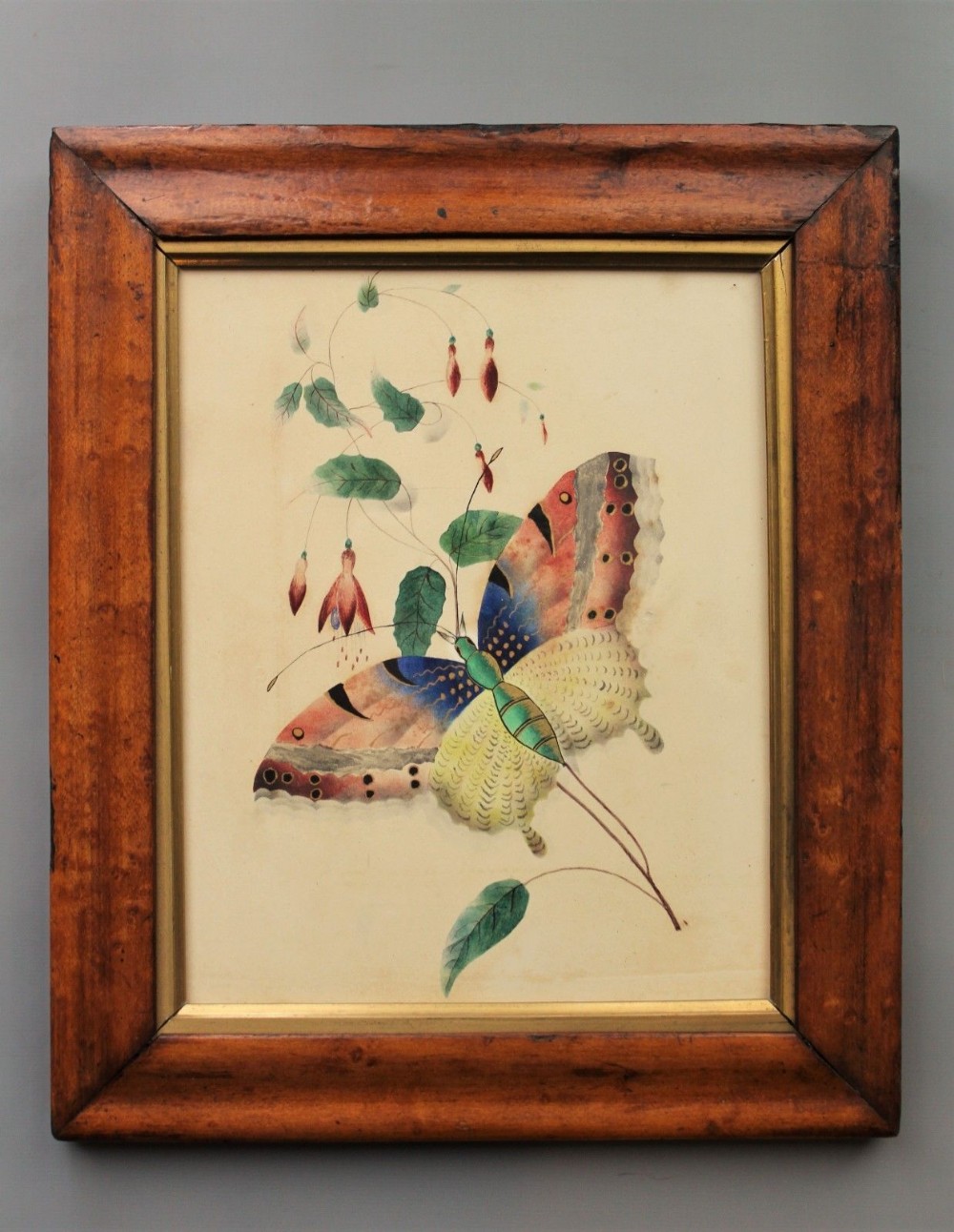 Antique Watercolour Butterfly 19th Century
