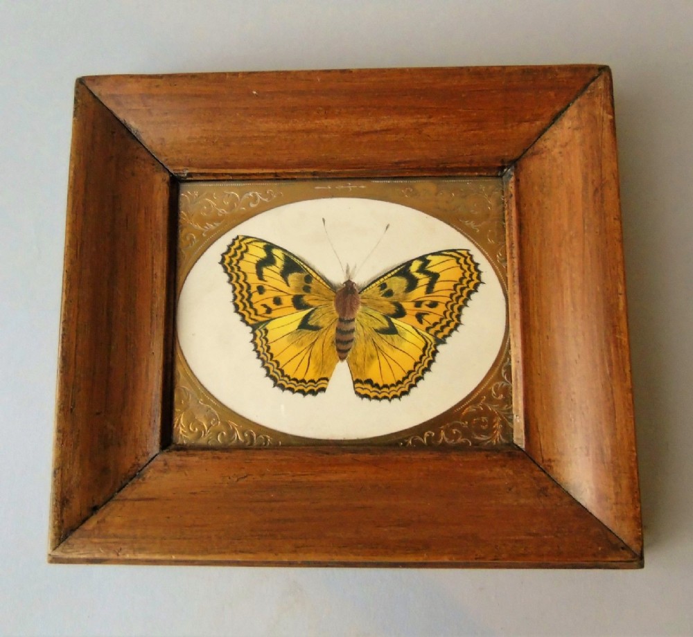 Antique Hand Painted Butterfly Watercolour