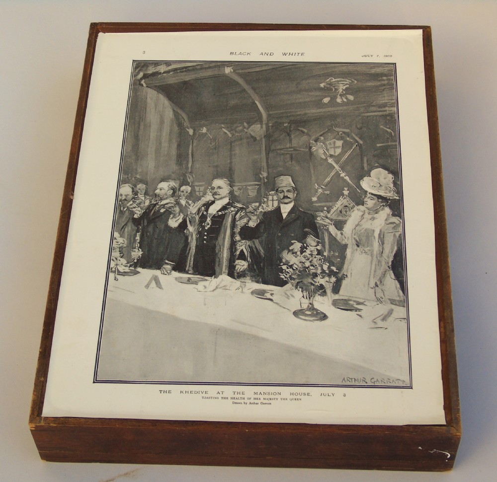 Antique Case of Butterfly Specimens View VI