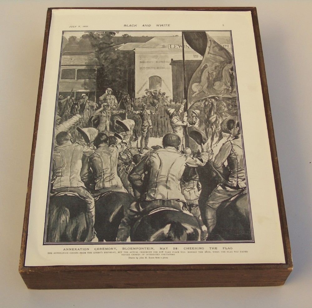 Antique Case of Butterfly Specimens View VII