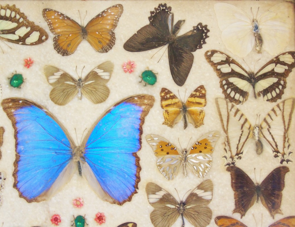 Early 20th Century Inlaid Mahogany Butterfly Tray View IV