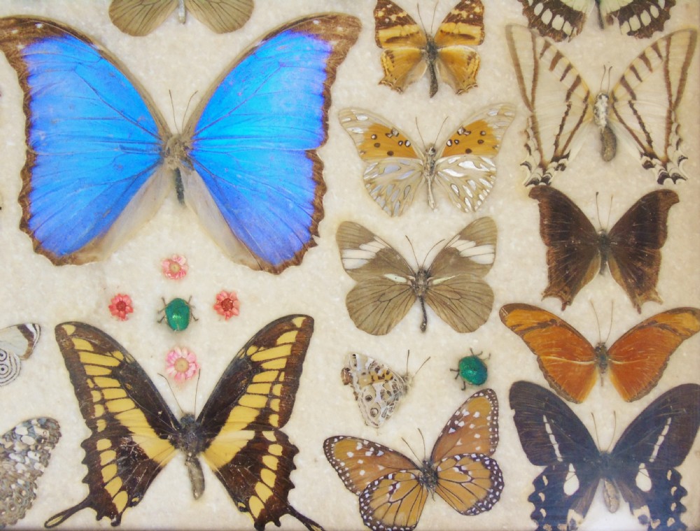Early 20th Century Inlaid Mahogany Butterfly Tray View V