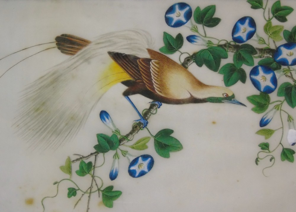 Antique Chinese Pith Painting Birds Set of Three View VI