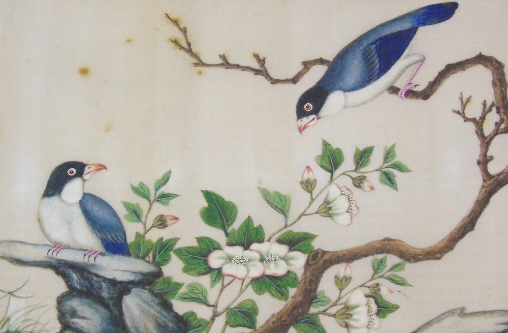 Antique Chinese Pith Painting Birds Set of Three View VII