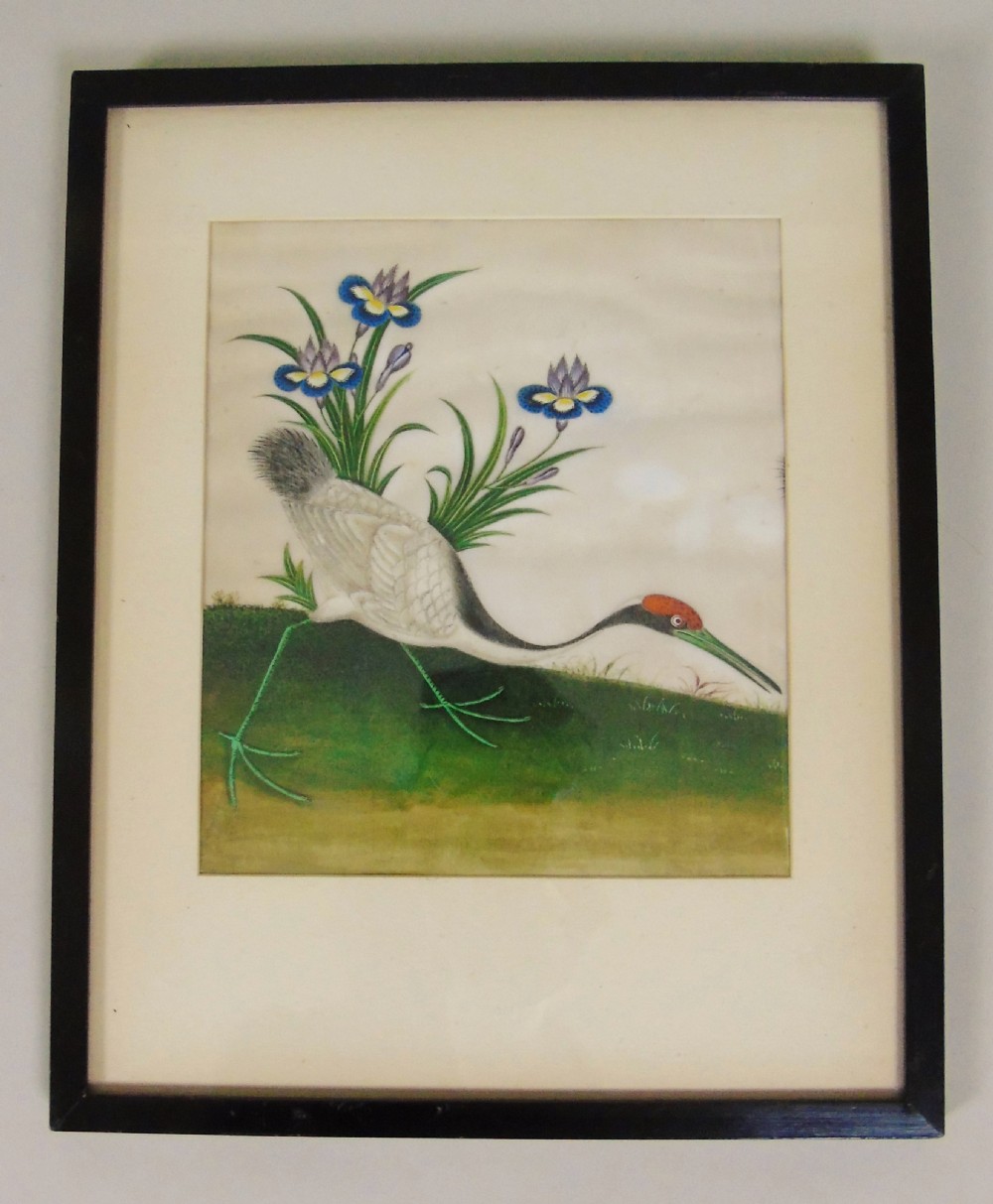Antique Chinese Bird Painting on Pith