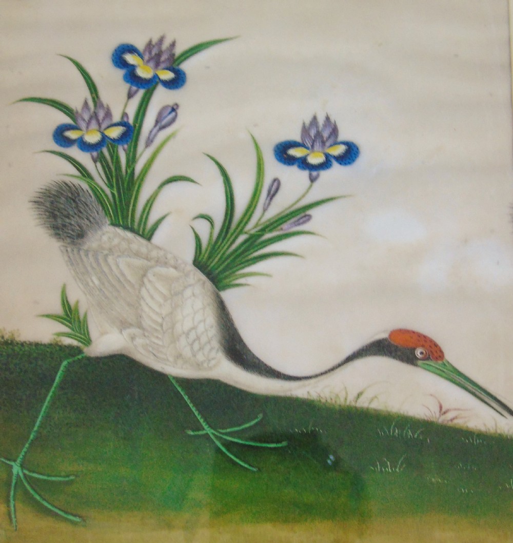 Antique Chinese Bird Painting on Pith View III