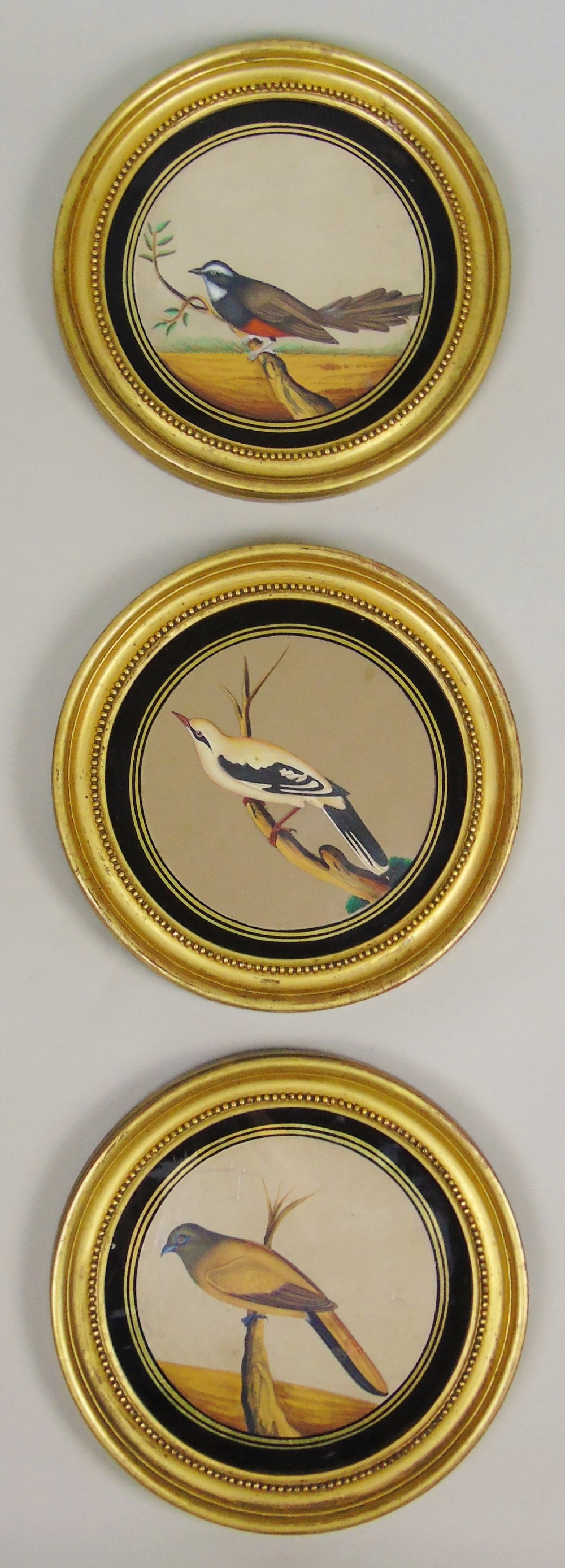 Set of 3 Beautiful Indian 19th Century Bird Paintings on Mica