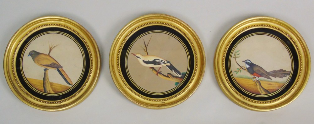 Set of 3 Beautiful Indian 19th Century Bird Paintings on Mica View II