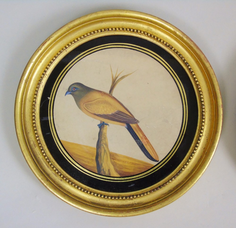 Set of 3 Beautiful Indian 19th Century Bird Paintings on Mica View III