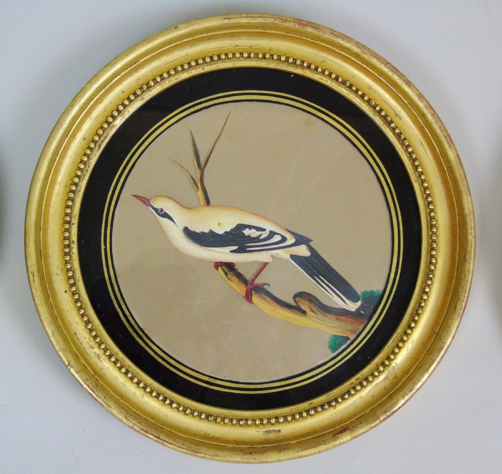 Set of 3 Beautiful Indian 19th Century Bird Paintings on Mica View V