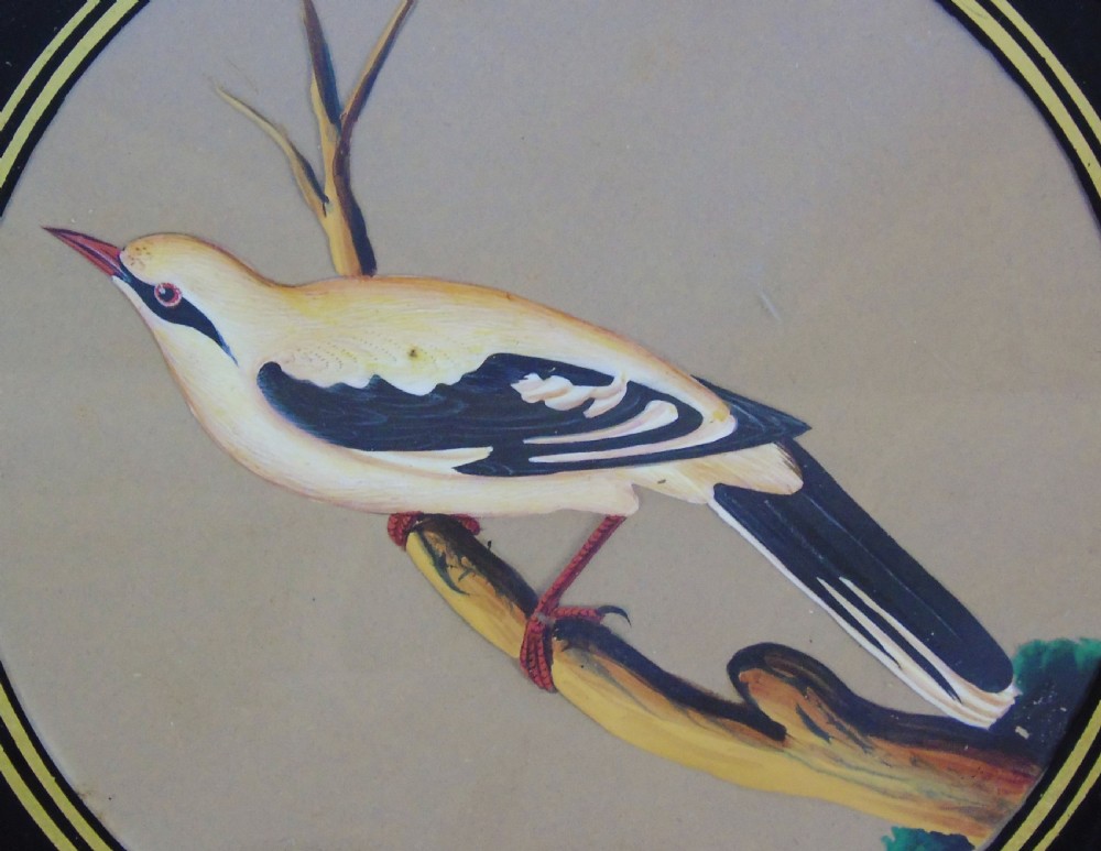Set of 3 Beautiful Indian 19th Century Bird Paintings on Mica View VI