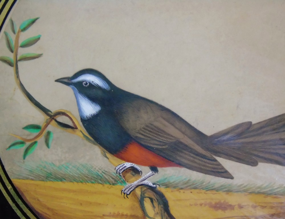 Set of 3 Beautiful Indian 19th Century Bird Paintings on Mica View VII