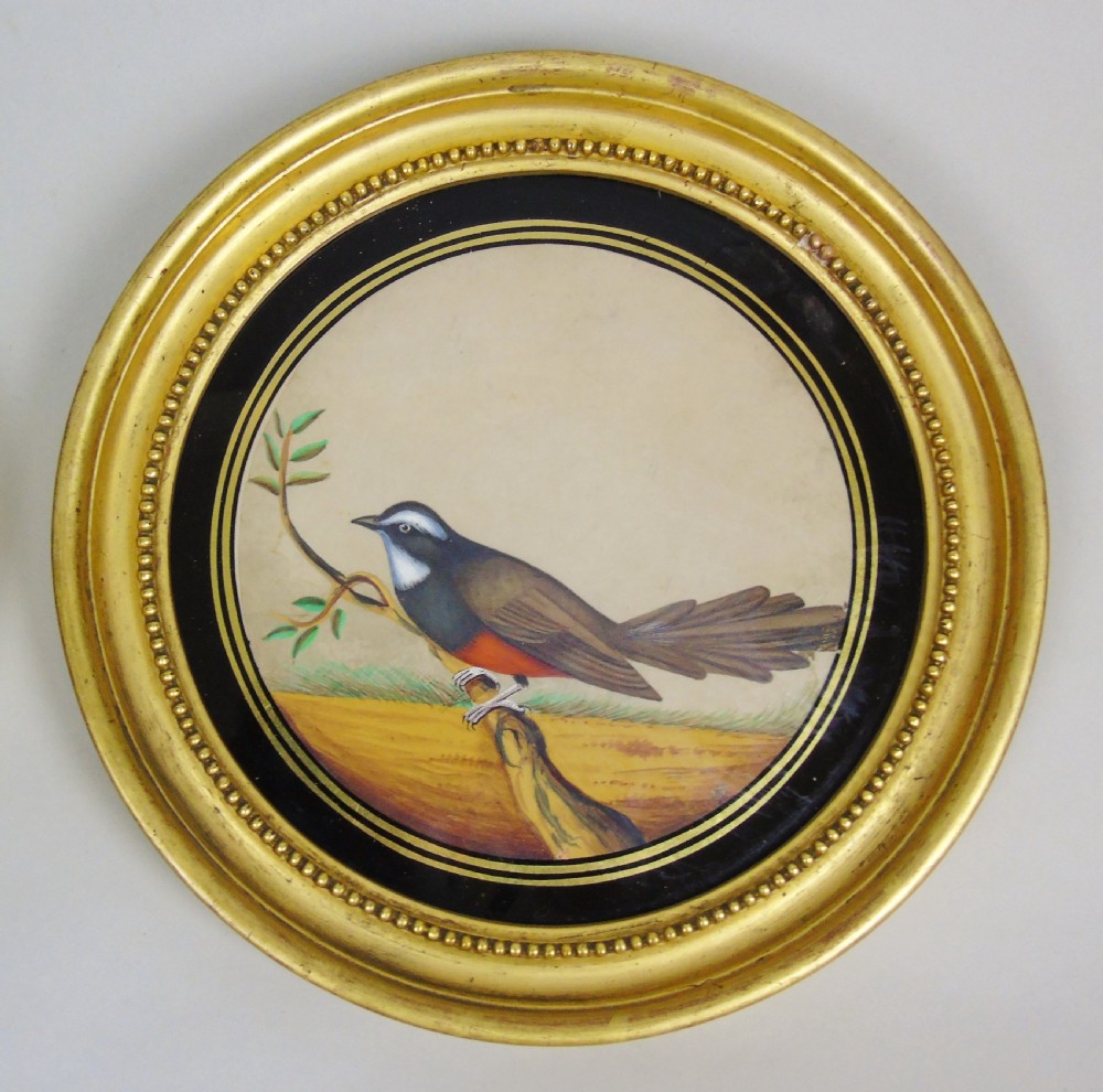 Set of 3 Beautiful Indian 19th Century Bird Paintings on Mica View VIII