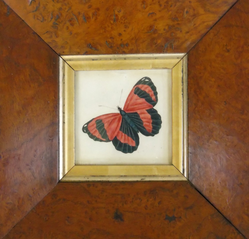 Antique Watercolour Painting Butterfly 19th Century