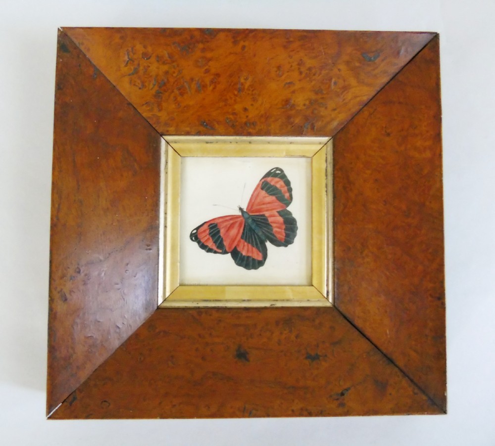 Antique Watercolour Painting Butterfly 19th Century View II